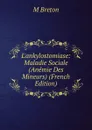 L.ankylostomiase: Maladie Sociale (Anemie Des Mineurs) (French Edition) - M Breton