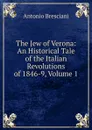 The Jew of Verona: An Historical Tale of the Italian Revolutions of 1846-9, Volume 1 - Antonio Bresciani