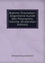 Brehms Thierleben: Allgemeine Kunde Des Thierreichs, Volume 10 (German Edition) - Alfred Edmund Brehm