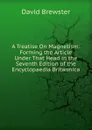 A Treatise On Magnetism: Forming the Article Under That Head in the Seventh Edition of the Encyclopaedia Britannica - Brewster David