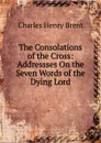 The Consolations of the Cross: Addressses On the Seven Words of the Dying Lord - Charles Henry Brent