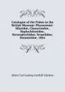 Catalogue of the Fishes in the British Museum: Physostomi: Siluridoe, Characinidoe, Haplochitonidoe, Sternoptychidoe, Scopelidoe, Stomiatidoe. 1864 - Albert Carl Ludwig Gotthilf Günther