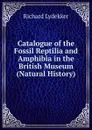 Catalogue of the Fossil Reptilia and Amphibia in the British Museum (Natural History) - Lydekker Richard