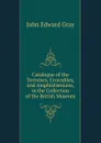 Catalogue of the Tortoises, Crocodiles, and Amphisbaenians, in the Collection of the British Museum - John Edward Gray