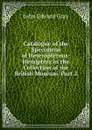 Catalogue of the Specimens of Heteropterous-Hemiptera in the Collection of the British Museum, Part 2 - John Edward Gray