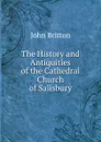 The History and Antiquities of the Cathedral Church of Salisbury - John Britton