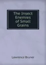 The Insect Enemies of Small Grains - Lawrence Bruner