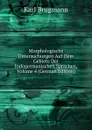 Morphologische Untersuchungen Auf Dem Gebiete Der Indogermanischen Sprachen, Volume 4 (German Edition) - K. Brugmann