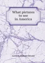 What pictures to see in America - Lorinda Munson Bryant