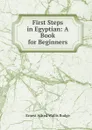 First Steps in Egyptian: A Book for Beginners - E. A. Wallis Budge