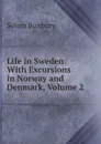 Life in Sweden: With Excursions in Norway and Denmark, Volume 2 - Selina Bunbury