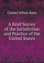 A Brief Survey of the Jurisdiction and Practice of the United States - Charles Wilson Bunn