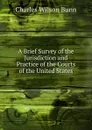 A Brief Survey of the Jurisdiction and Practice of the Courts of the United States - Charles Wilson Bunn