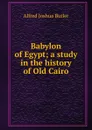 Babylon of Egypt; a study in the history of Old Cairo - Alfred Joshua Butler