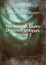 The Ancient Coptic Churches of Egypt, Volume 2 - Alfred Joshua Butler