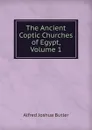 The Ancient Coptic Churches of Egypt, Volume 1 - Alfred Joshua Butler