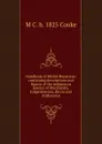 Handbook of British Hepaticae: containing descriptions and figures of the indigenous species of Marchantia, Jungermannia, Riccia and Anthoceros - M C. b. 1825 Cooke