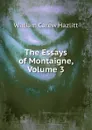 The Essays of Montaigne, Volume 3 - William C. Hazlitt