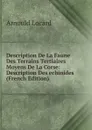 Description De La Faune Des Terrains Tertiaires Moyens De La Corse: Description Des echinides (French Edition) - Arnould Locard