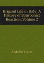 Brigand Life in Italy: A History of Bourbonist Reaction, Volume 2 - A Maffei Count