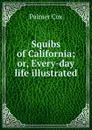 Squibs of California; or, Every-day life illustrated - Palmer Cox