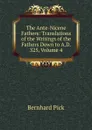 The Ante-Nicene Fathers: Translations of the Writings of the Fathers Down to A.D. 325, Volume 4 - Bernhard Pick