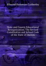 State and County Educational Reorganization: The Revised Constitution and School Code of the State of Osceola - Ellwood Patterson Cubberley