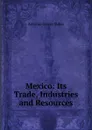 Mexico: Its Trade, Industries and Resources - Antonio García Cubas