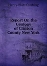 Report On the Geology of Clinton County New York - Henry Platt Cushing