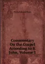 Commentary On the Gospel According to S. John, Volume 1 - Philip Edward Pusey