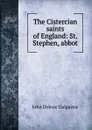 The Cistercian saints of England: St. Stephen, abbot - John Dobree Dalgairns