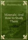 Minerals: And How to Study Them - Edward Salisbury Dana