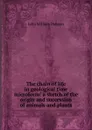 The chain of life in geological time microform: a sketch of the origin and succession of animals and plants - John William Dawson