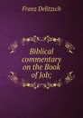 Biblical commentary on the Book of Job; - Franz Julius Delitzsch