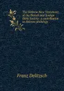 The Hebrew New Testament of the British and foreign Bible Society: a contribution to Hebrew philology - Franz Julius Delitzsch