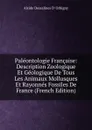 Paleontologie Francaise: Description Zoologique Et Geologique De Tous Les Animaux Mollusques Et Rayonnes Fossiles De France (French Edition) - Alcide Dessalines d'Orbigny
