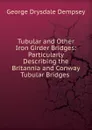Tubular and Other Iron Girder Bridges: Particularly Describing the Britannia and Conway Tubular Bridges . - George Drysdale Dempsey