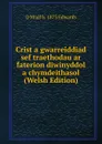 Crist a gwarreiddiad sef traethodau ar faterion diwinyddol a chymdeithasol (Welsh Edition) - D Miall b. 1873 Edwards