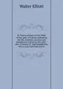 St. Teresa of Jesus of the Order of Our Lady of Carmel embracing the life, relations, maxims and foundations written by the saint ; also, A history of . and foundations, with a map and illustrations - Walter Elliott