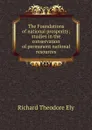 The Foundations of national prosperity; studies in the conservation of permanent national resources - Richard Theodore Ely