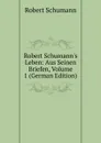 Robert Schumann.s Leben: Aus Seinen Briefen, Volume 1 (German Edition) - Robert Schumann