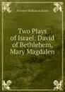 Two Plays of Israel: David of Bethlehem, Mary Magdalen - Florence Wilkinson Evans