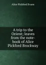 A trip to the Orient; leaves from the note-book of Alice Pickford Brockway - Alice Pickford Evans