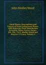 Natal Plants: Descriptions and Figures of Natal Indigenous Plants, with Notes On Their Distribution Economic Value, Native Names, Etc., Etc. / by J. Medley Wood and Maurice S. Evans, Volume 4 - John Medley Wood