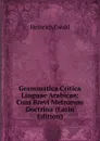 Grammatica Critica Linguae Arabicae: Cum Brevi Metrorum Doctrina (Latin Edition) - Ewald Heinrich