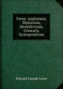 Ferns: Asplenium, Diplazium, Hemidictyum, Ceterach, Scolopendrium - Edward Joseph Lowe