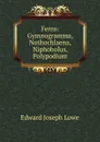 Ferns: Gymnogramma, Nothochlaena, Niphobolus, Polypodium - Edward Joseph Lowe