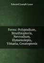 Ferns: Polypodium, Struthiopteris, Nevrodium, Hymenolepis, Vittaria, Ceratopteris - Edward Joseph Lowe