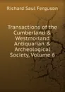 Transactions of the Cumberland . Westmorland Antiquarian . Archeological Society, Volume 6 - Richard Saul Ferguson