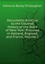 Documents Relative to the Colonial History of the State of New-York: Procured in Holland, England, and France, Volume 2 - Edmund Bailey O'Callaghan